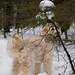 Mark Burnham Photo 40