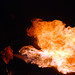 David Kozlowski Photo 40