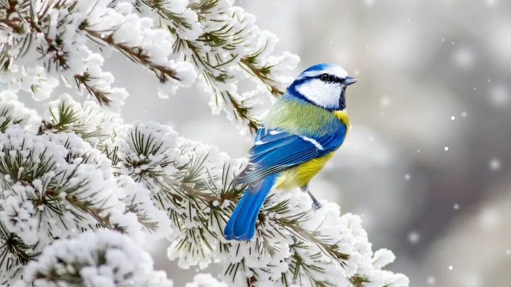 Tim Winters Photo 35