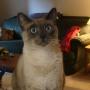 Lisa Tubbs Photo 24
