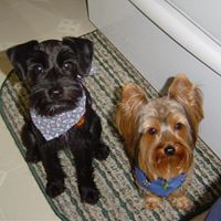 Donna Sperry Photo 1