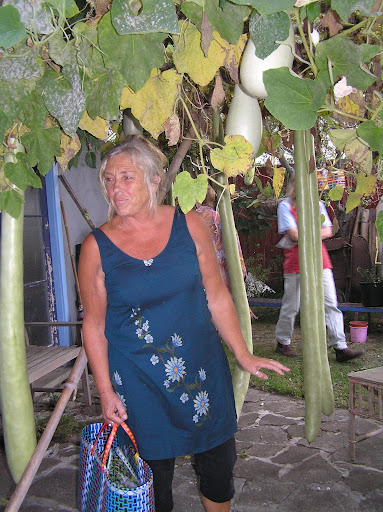 Cheryl Noble Photo 12