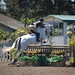 John Bragg Photo 47