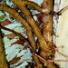 Emily Root Photo 35
