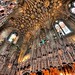 Douglas Lorimer Photo 15