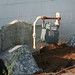Malcom Mclean Photo 10