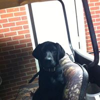 David Sturdivant Photo 4