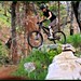 Vance Harper Photo 29