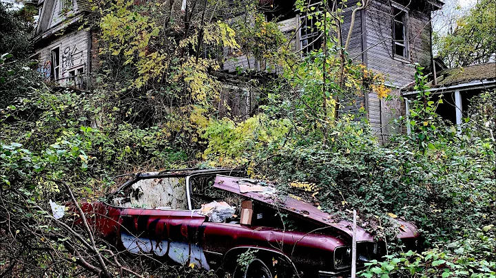 Mary Totten Photo 25