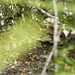 Dennis Hendrickson Photo 31
