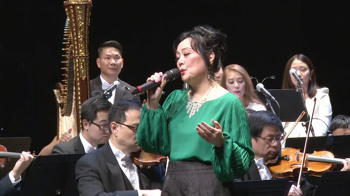 Shirley Tai Photo 14