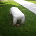 Judy Toledo Photo 24