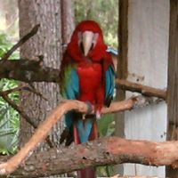 Jody Stone Photo 6