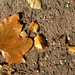 Eliezer Cruz Photo 43