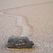Ann Agnew Photo 27