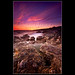 William Dickie Photo 26