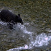 Stewart Hunt Photo 33