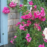 Mary Hayford Photo 1