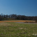 James Hindman Photo 36
