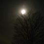 Gary Ward Photo 27