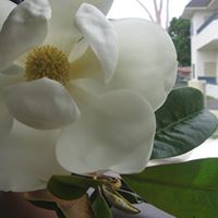 Maggie Valenzuela Photo 2