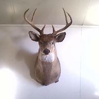 Brian Prater Photo 1