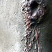 Robert Feathers Photo 33