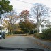 Jeannette Gardner Photo 27