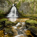 Dale Crook Photo 23