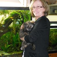 Ellen Hyland Photo 3