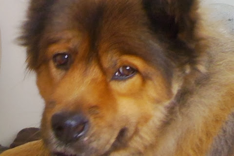 Frank Luera Photo 8