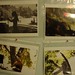 Oliver Ortiz Photo 36