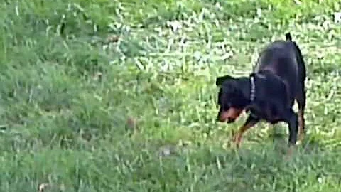 Vito Mole Photo 9