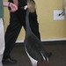 Shawn Crane Photo 41