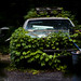 Jim Horvath Photo 39