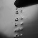 Nicolas Sandoval Photo 37