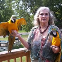 Judy Herzog Photo 5
