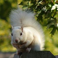 Sharron Evans Photo 4