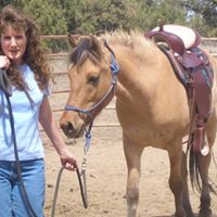 Wendy Whipple Photo 7