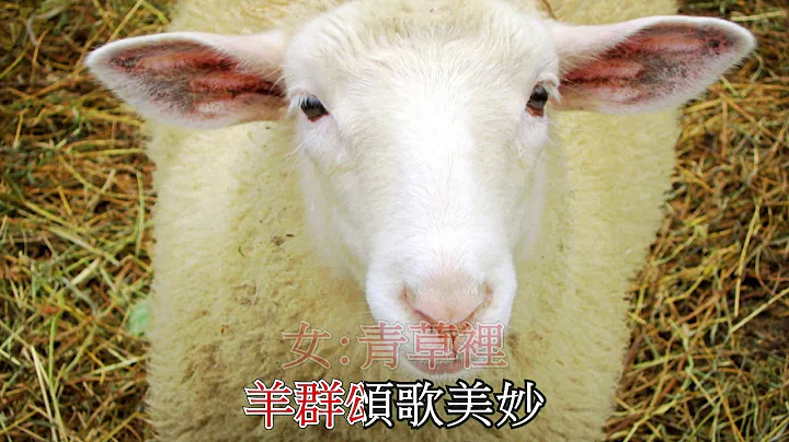 Annie Yuen Photo 17