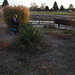 Becky Lake Photo 37