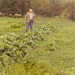 George Christophersen Photo 13