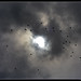 Charles Vola Photo 13