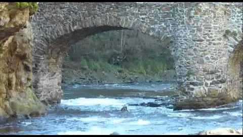 Juan Flaquer Photo 13