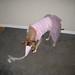 Princess Bailey Photo 28