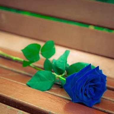 Sandeep Kaur Photo 17