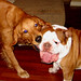 Murphy Bailey Photo 23