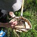 Gary Sample Photo 26