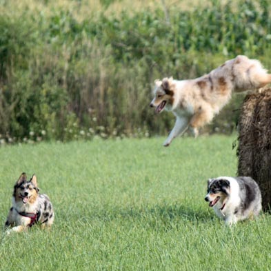 Julie Rigby Photo 14