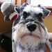 Cathy Pippin Photo 28